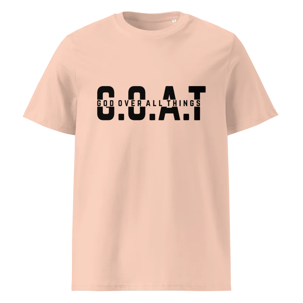 Unisex Organic Cotton T-Shirt | Stanley/Stella STTU169