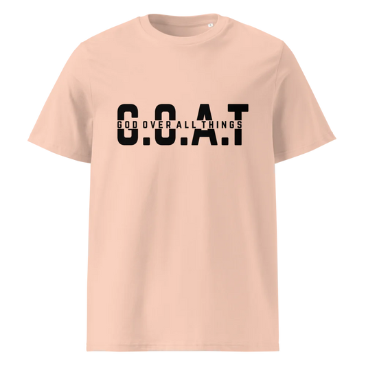 Unisex Organic Cotton T-Shirt | Stanley/Stella STTU169